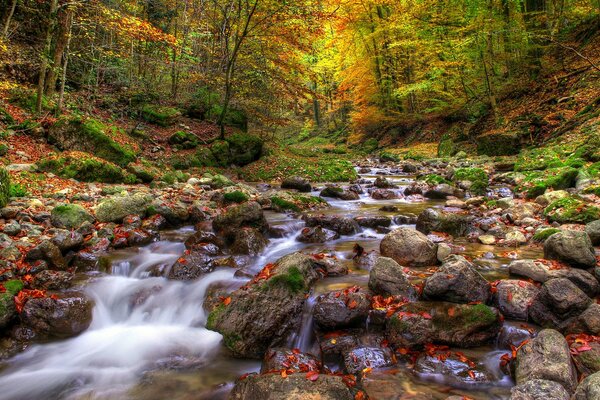 Río de montaña que cae sobre las piedras