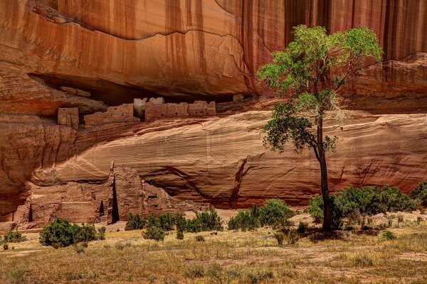 Canyons with ancient remains of dwellings and drawings