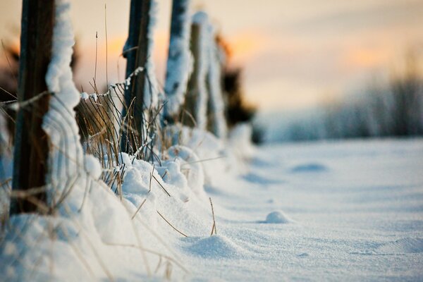 Macro shooting of winter silence