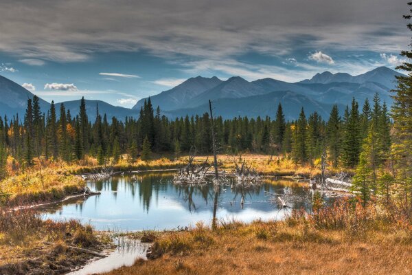 Lago en el bosque de otoño