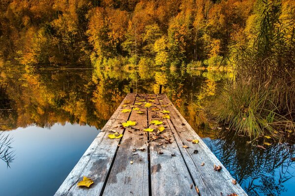 Wooden bridge on the lake in the autumn forest. A quiet autumn day by a forest lake