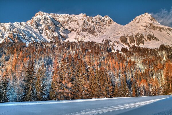 The mountains in the forest are covered with snow