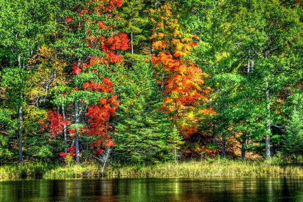 Increíblemente hermoso paisaje de otoño