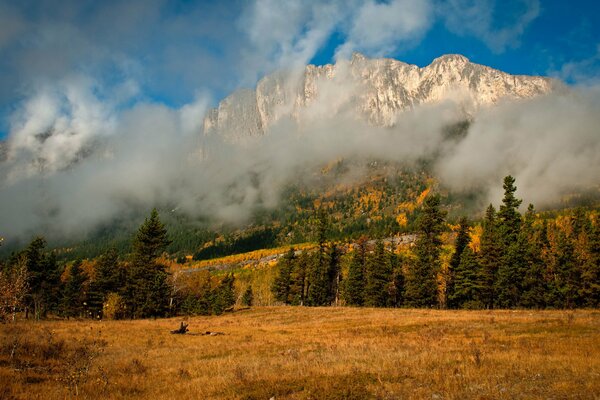 Nature en automne avec vue sur les montagnes et le brouillard