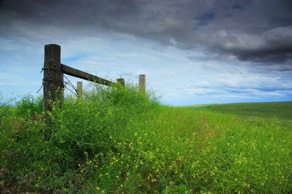 The fence is covered with grass, clouds are coming