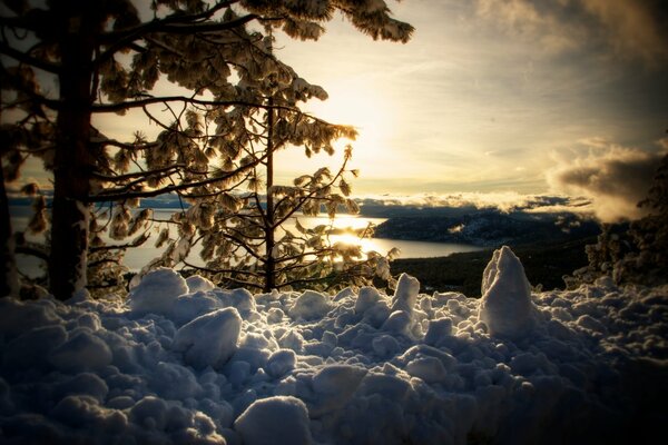 Neve e alberi in riva al lago