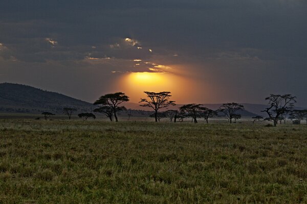 Afrikanische Savanne auf Sonnenuntergang Hintergrund