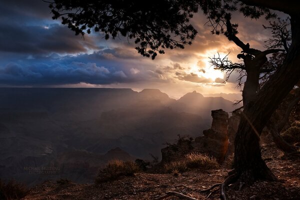 Au sommet des canyons, les rayons du soleil se frayent un chemin