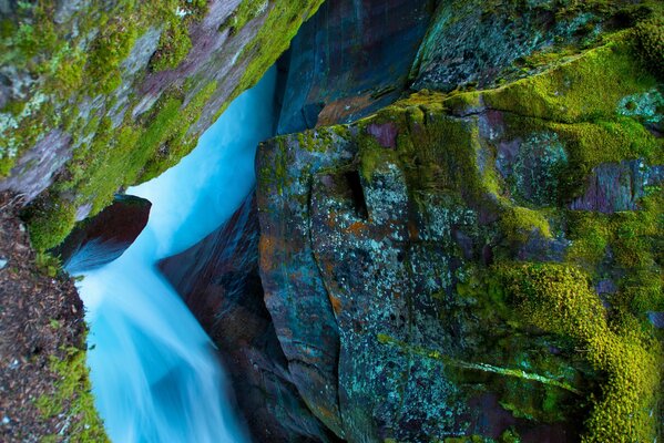 Green moss with streams of water