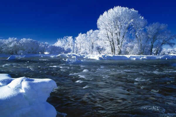 Rivières et arbres dans la neige en hiver