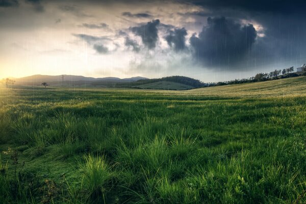 Hügel und Feld bei schlechtem Wetter