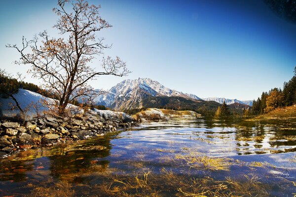 Montagna. Natura. Fiume. Cielo