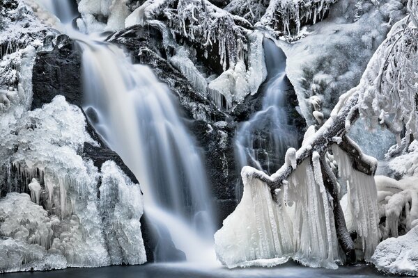 Winter waterfall and icicles