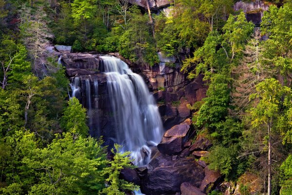 Wasserfall in Felsen und Bäumen