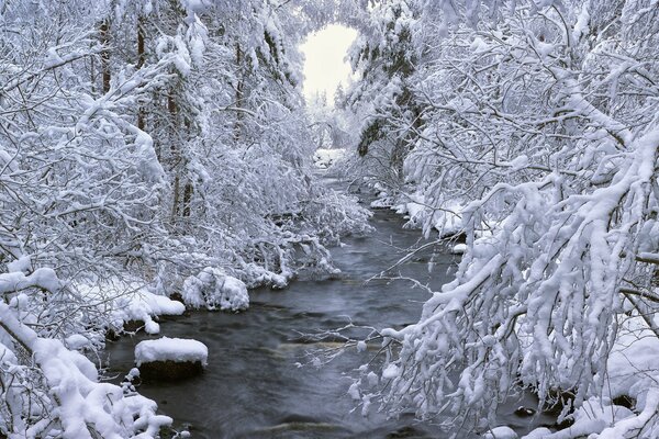 Un río en un bosque nevado de invierno en Suecia