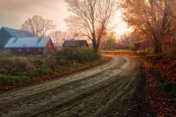 Jesienna przyroda i droga na wsi
