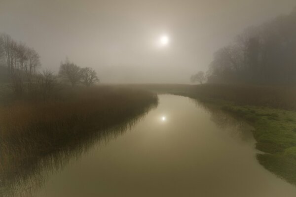 A river with trees in the fog