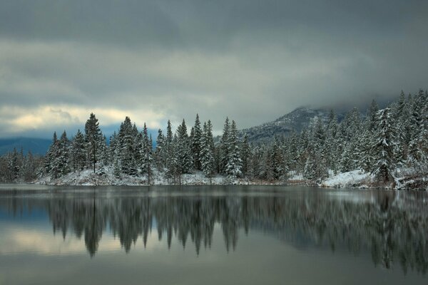 Lake at the foot of the forest and mountains