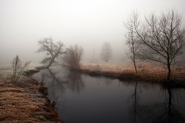 The fog rose among the river above the gloomy sky