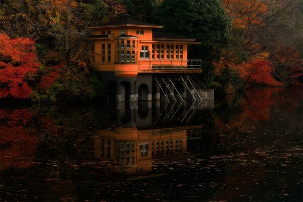 Casa en el agua en el bosque de otoño