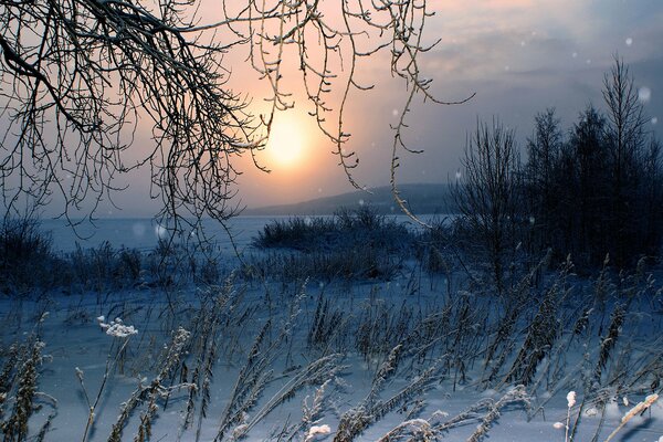 Coucher de soleil d hiver sur un champ vide