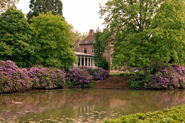 A house with a park and flowers near a pond