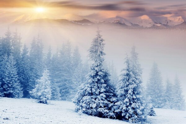 Winter mountains showered with snow