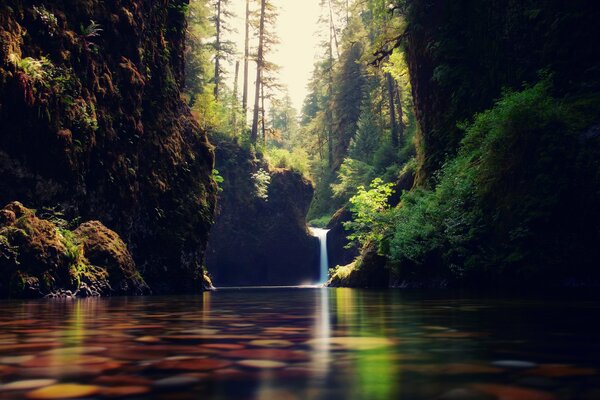 Kleiner Wasserfall im dumpfen Wald