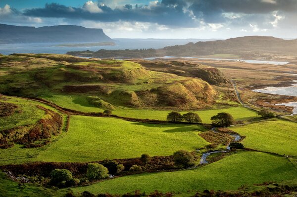 A summer day in the fields of Britain