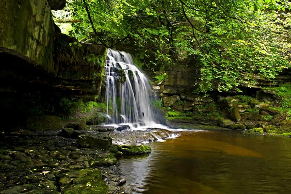 Kleiner Wasserfall im Wald, der in einen Fluss mündet