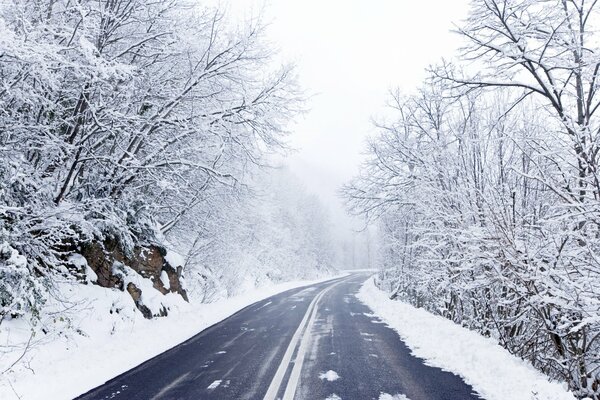 The road through the winter forest