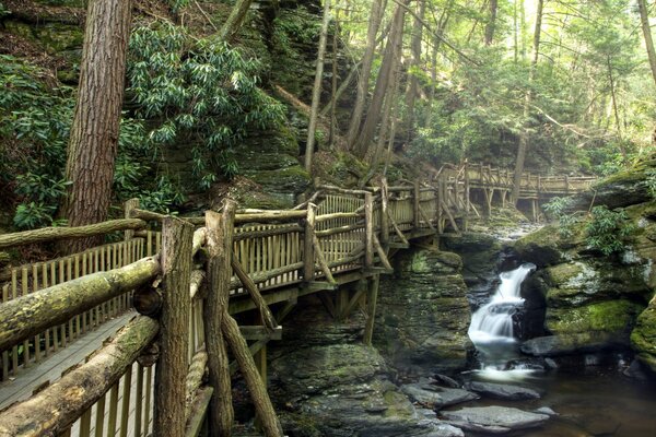 Alte Brücke über den Fluss in der Natur