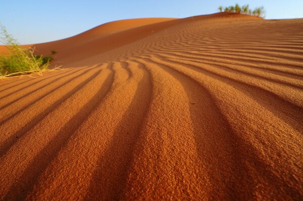 Yellow sand in the desert and the evening sky