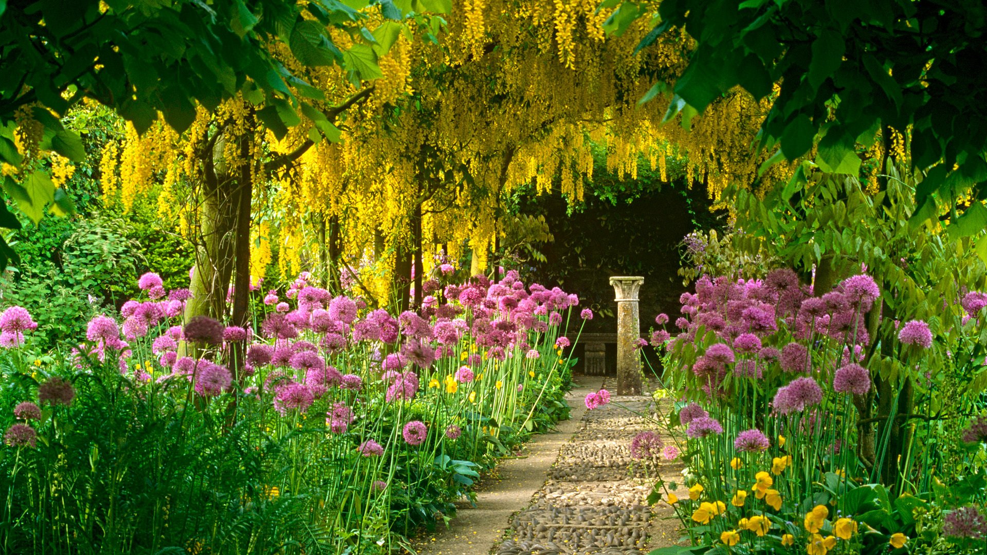 garten blumen akazie gehweg säule