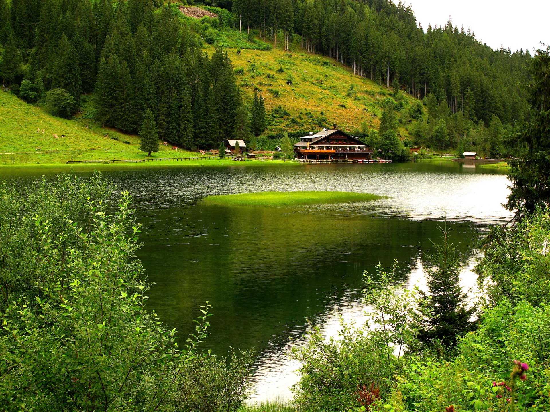 nature montagnes arbres rivière maison bateaux pâturage