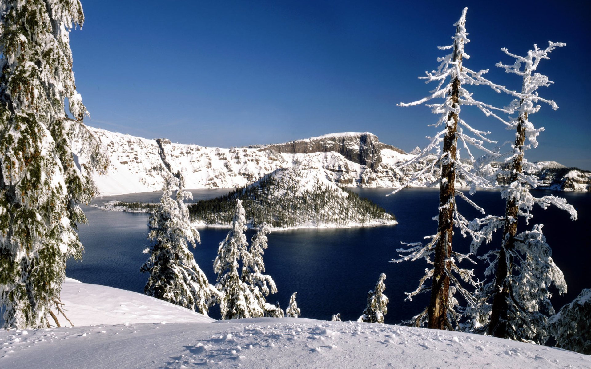 naturaleza invierno nieve bosque árboles lago isla