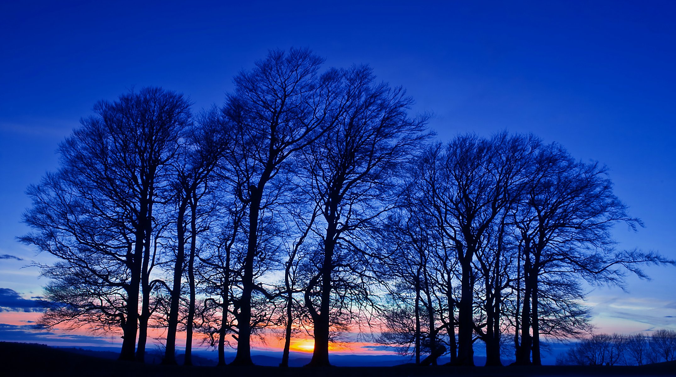 soir crépuscule orange coucher de soleil bleu ciel arbres champ