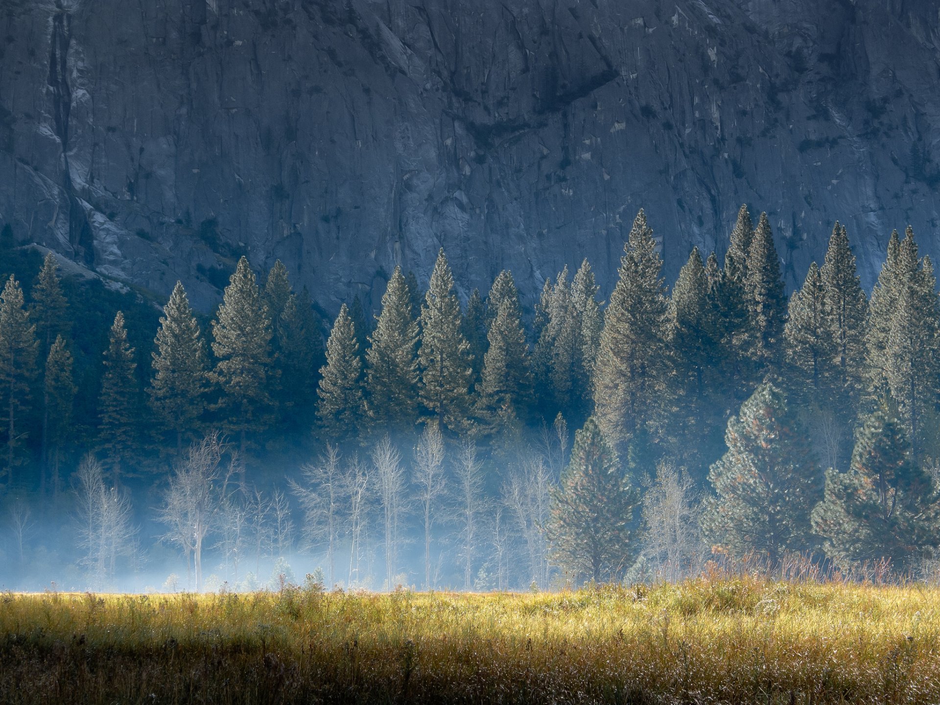 nature montagne roche arbres herbe été lumière matin brouillard