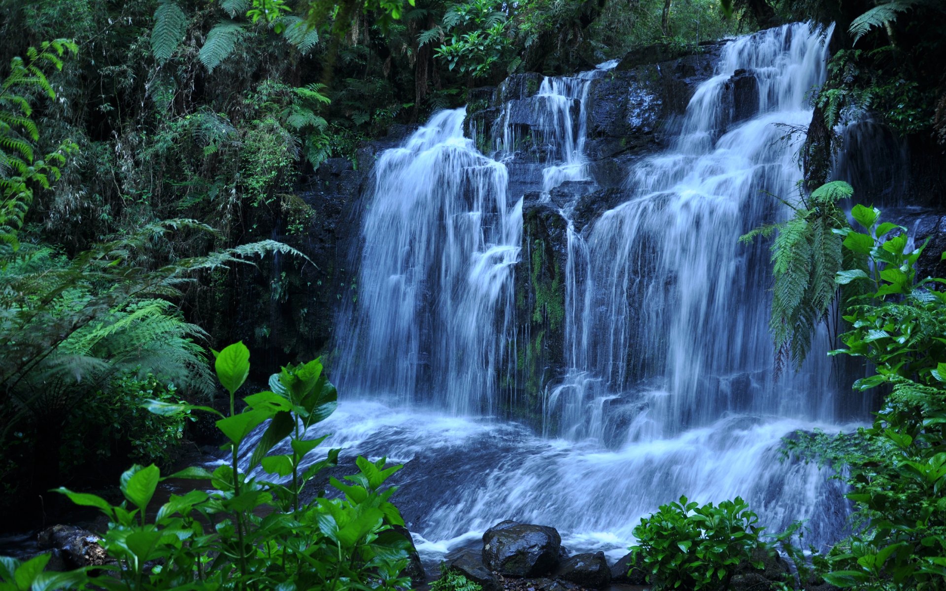 wasserfall steine pflanzen wasser