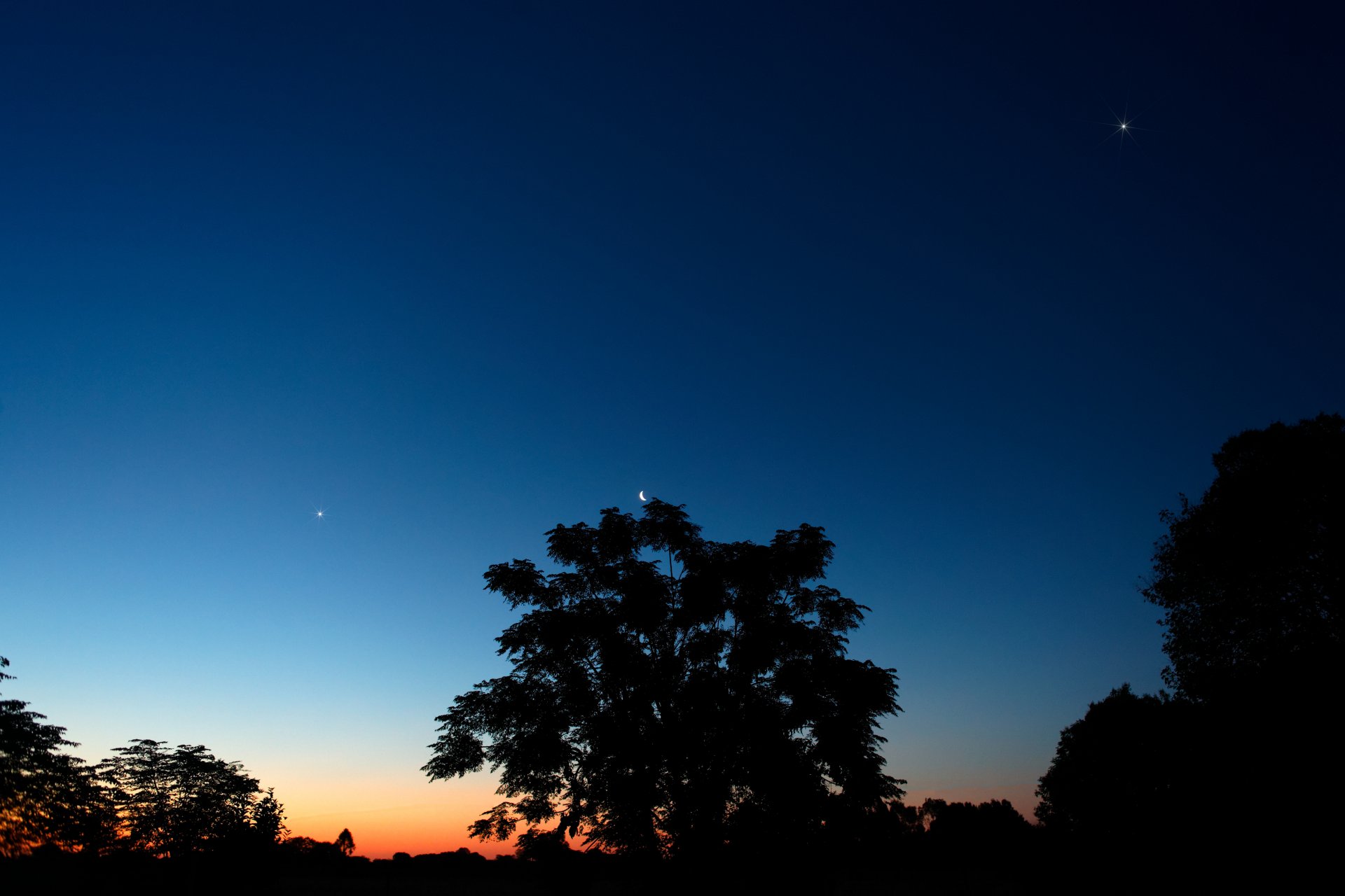 moon jupiter venus southern hemisphere