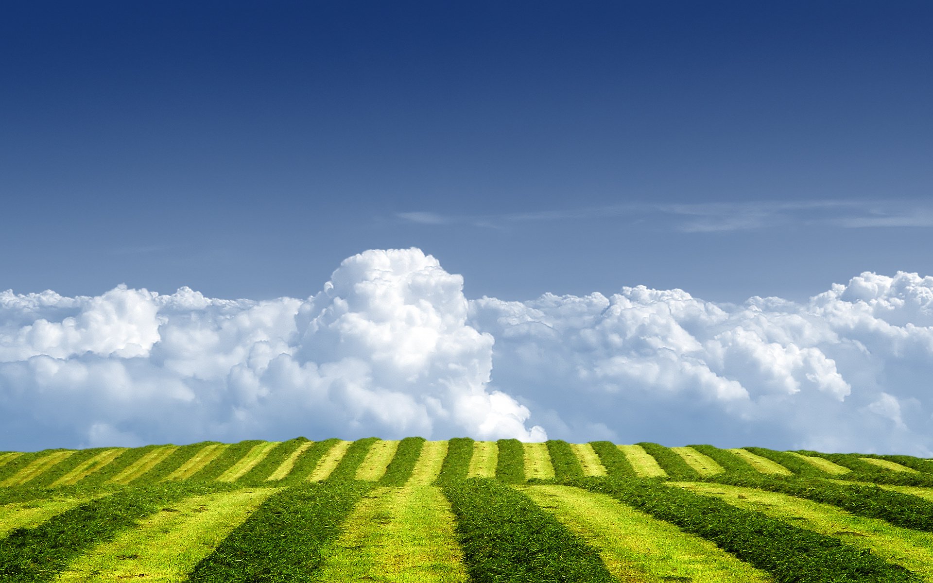 wolken gras sommer feld himmel