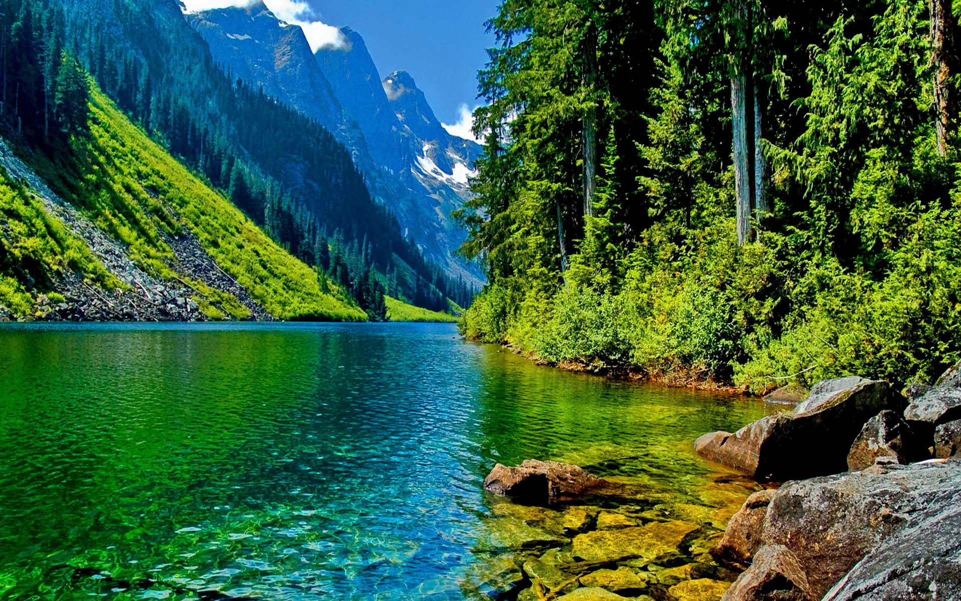 berg fluss berge felsen wald steine bäume