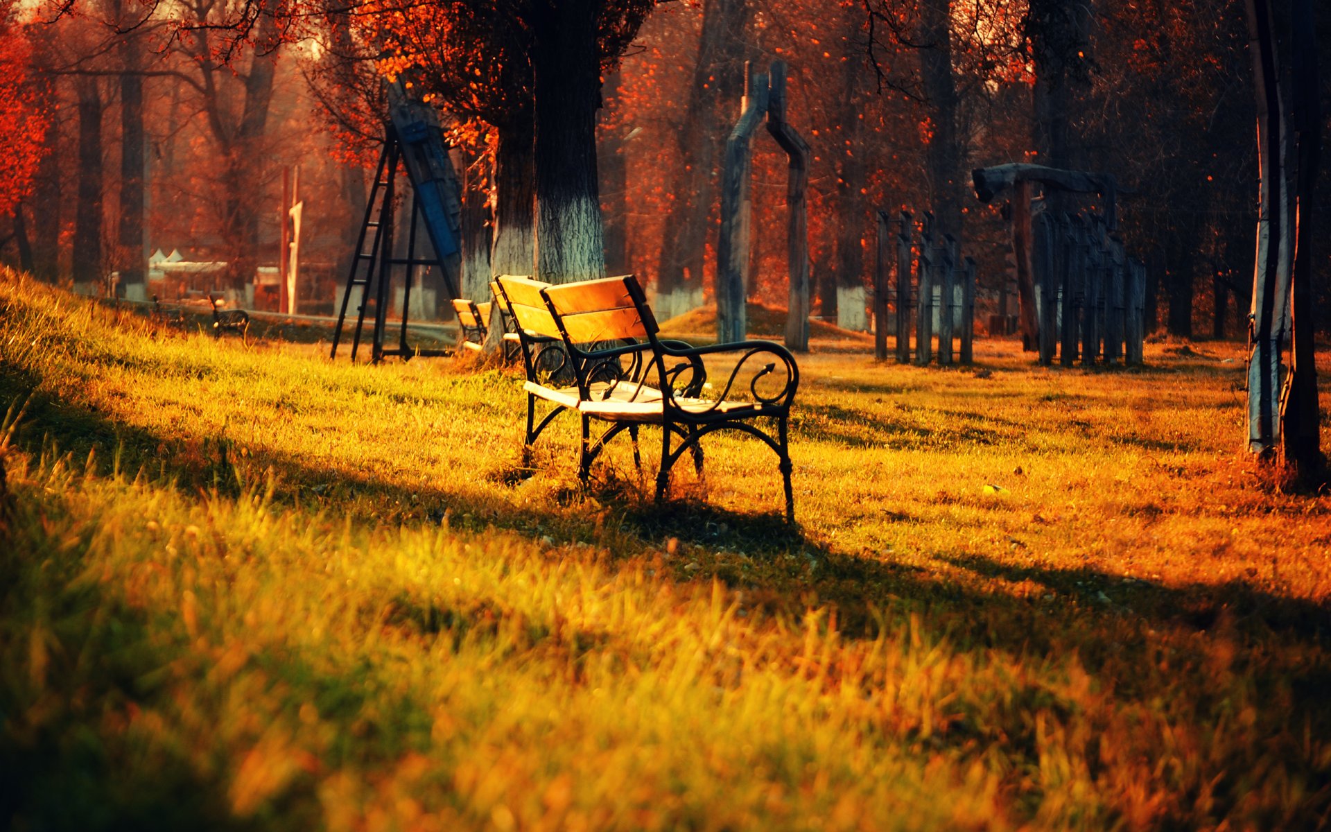 nature paysage parc automne banc herbe feuilles arbres lumière banc 2560x1600