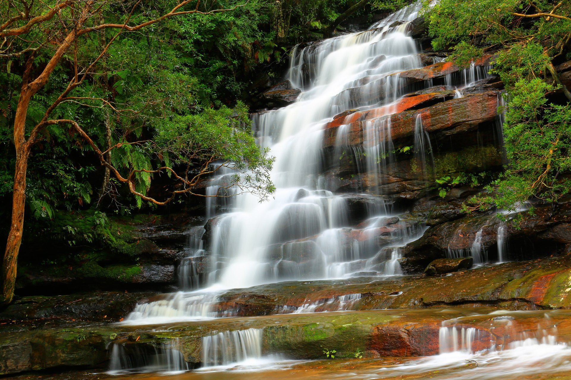 natur wald fluss strom wasserfall steine bäume