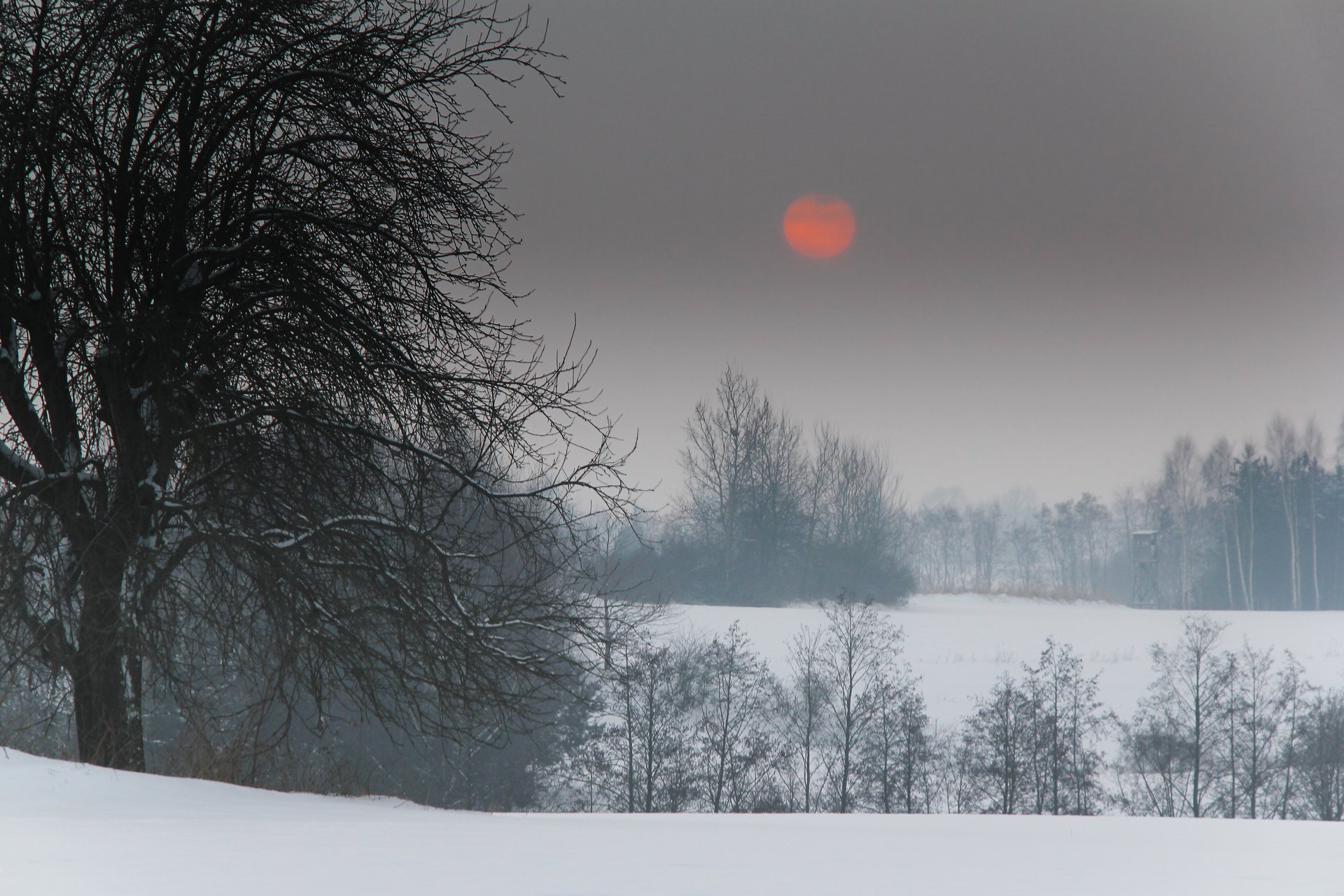 del profeta inverno alberi piantare neve sole rosso