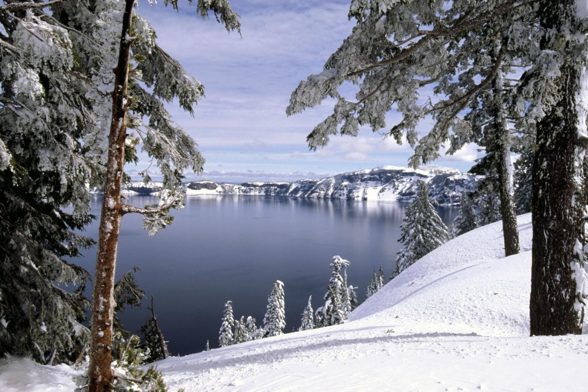 hiver neige forêt arbres lac collines