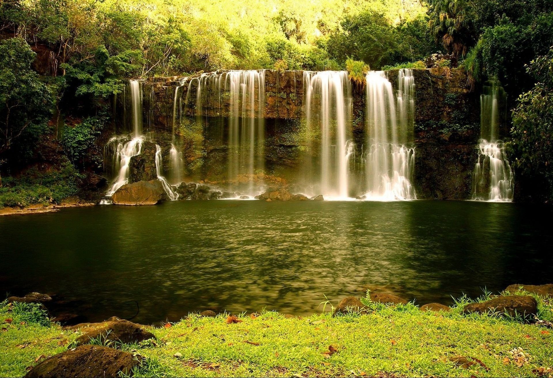 cascata acqua foresta natura