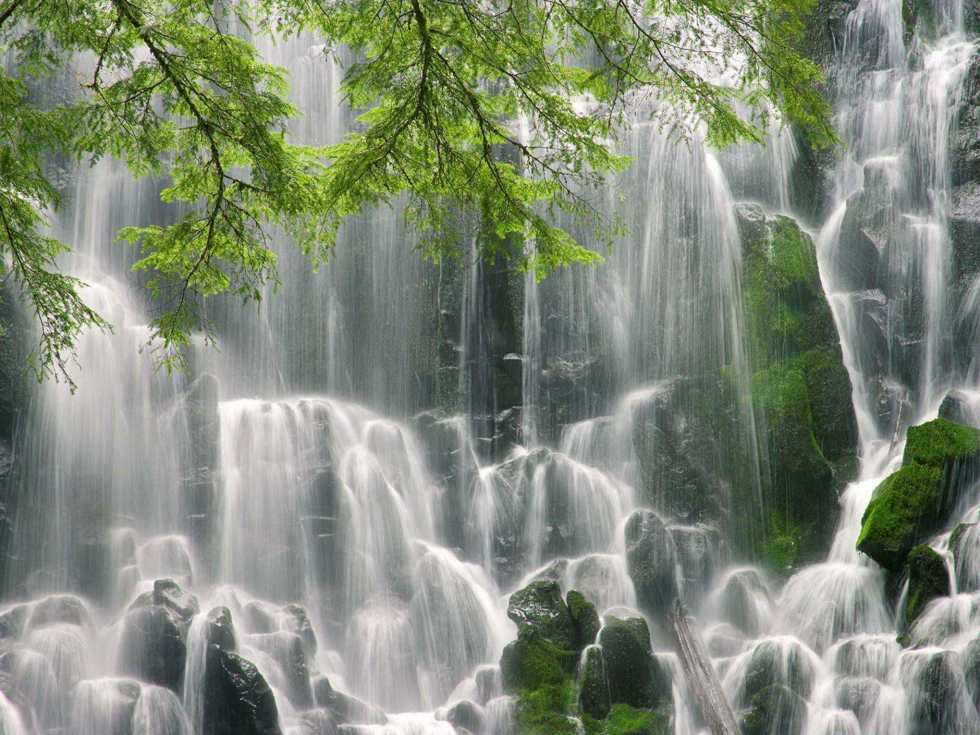 cascata di ramona origon rami pietre muschio