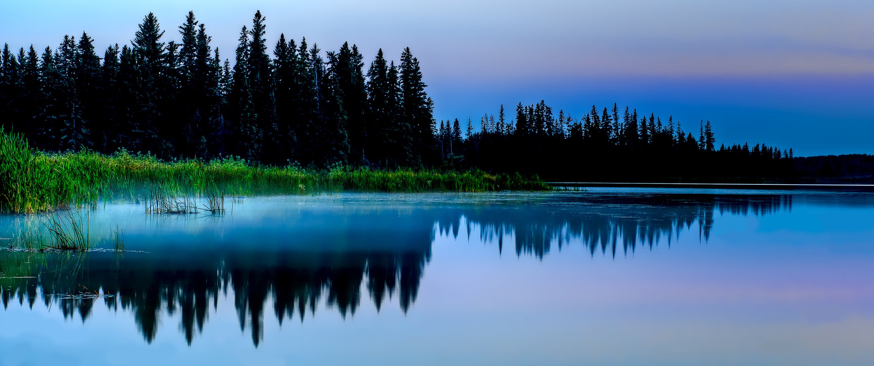 naturaleza bosque noche lago pantano estanque hierba matorral reflexión abeto