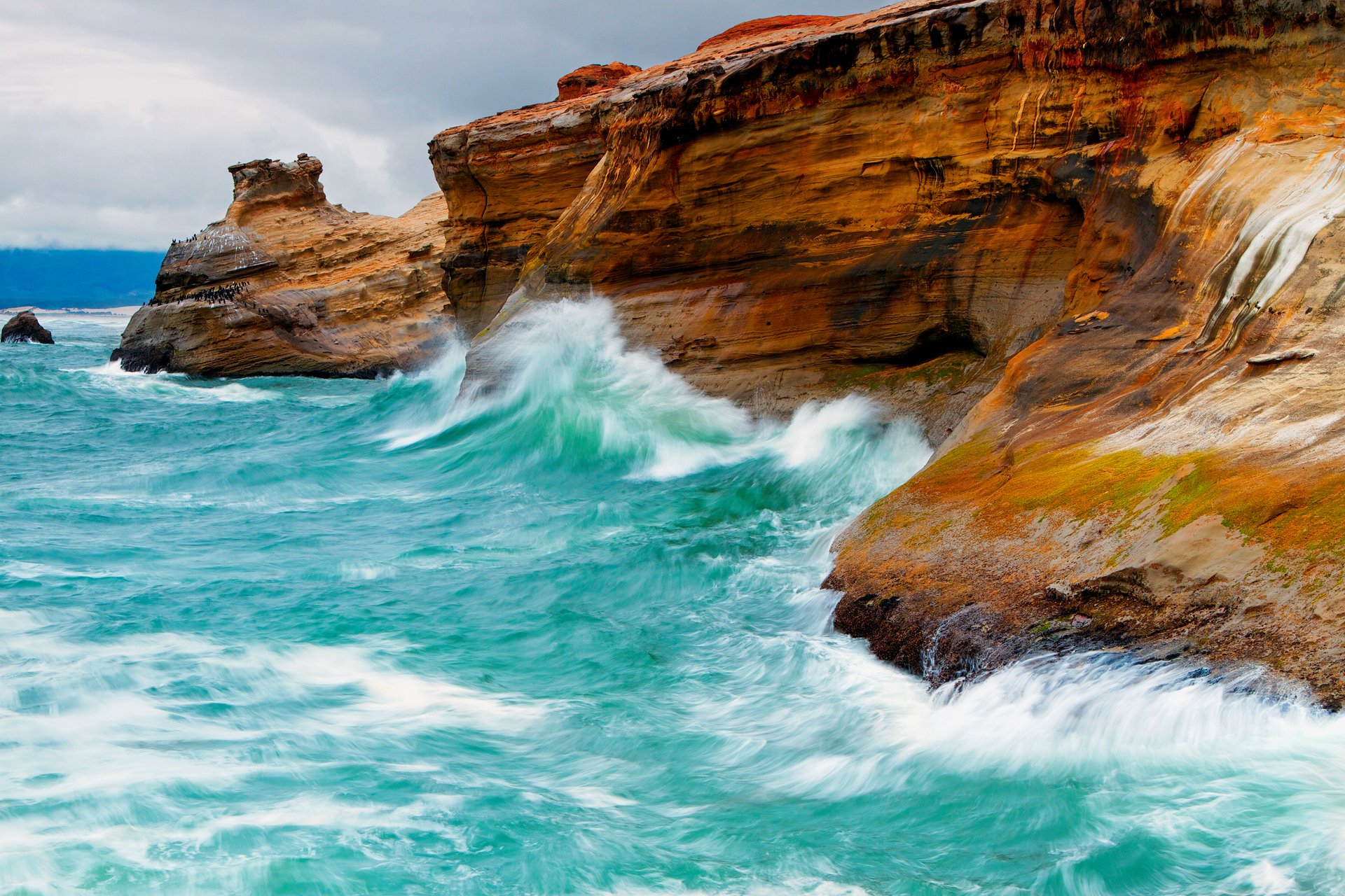 nature waves sea rock bird